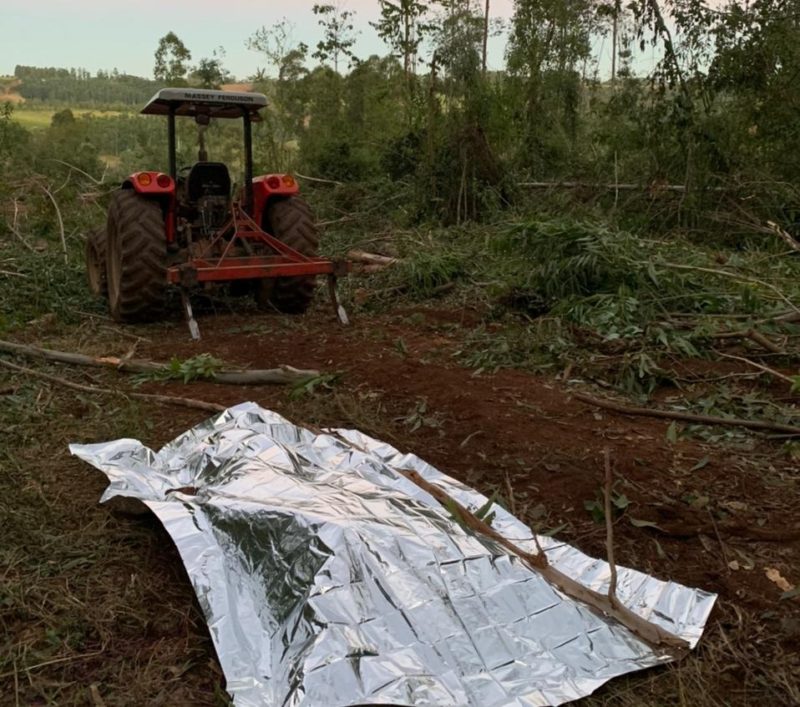 Trabalhador morre durante corte de árvores no interior de Mondaí – Foto: Corpo de Bombeiros/Divulgação ND