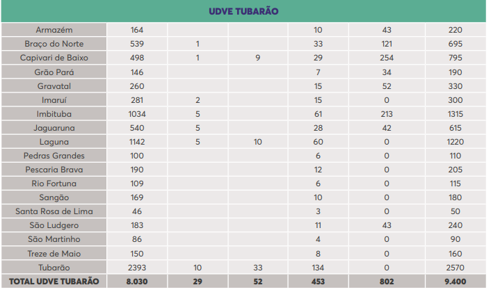 Tabela mostra a quantidade de doses que cada cidade vai receber – Foto: SES/Divulgação