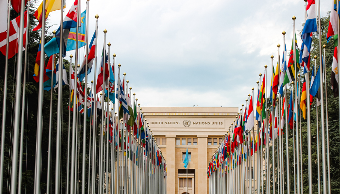 Mais do que apenas cuidar da sociedade e de nosso ecossistema, as startups querem conectar as pessoas a um mundo melhor – Foto: Divulgação/Condor Connect