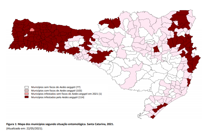 Quadro mostra localidades de Santa Catarina com maior presen&ccedil;a do Aedes aegypti – Foto: DIVE/Divulga&ccedil;&atilde;o/ND