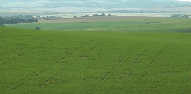 Propriedade de Campos Novos, em SC, planta cereais de inverno e vende para cooperativa – Foto: Reprodu&ccedil;&atilde;o/NDTV RecordTV