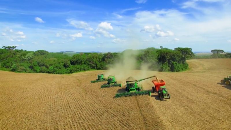 Atividade econômica - Na foto, campo de trigo sendo colhido por máquina agrícola