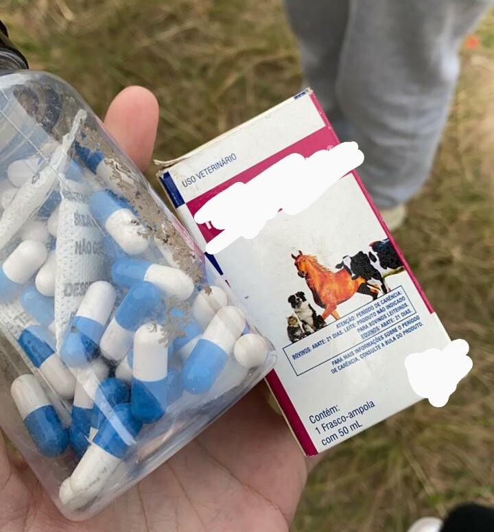 Policiais encontraram medicamentos e anabolizantes que eram dados aos animais – Foto: Divulga&ccedil;&atilde;o/Pol&iacute;cia Civil