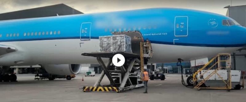 Avião pousou em Guarulhos (SP) no início desta manhã – Foto: Record TV/Reprodução