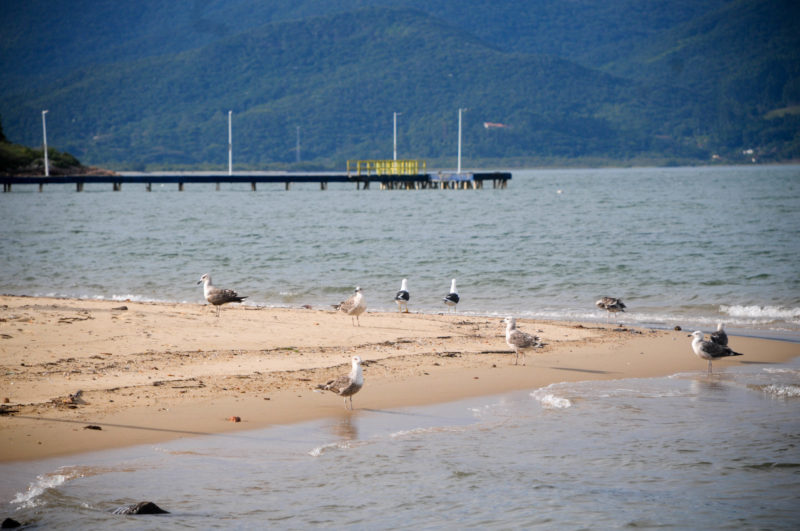 Balneário de São Miguel é ponto turístico da cidade que completa 188 anos – Foto: Leo Munhoz/ND