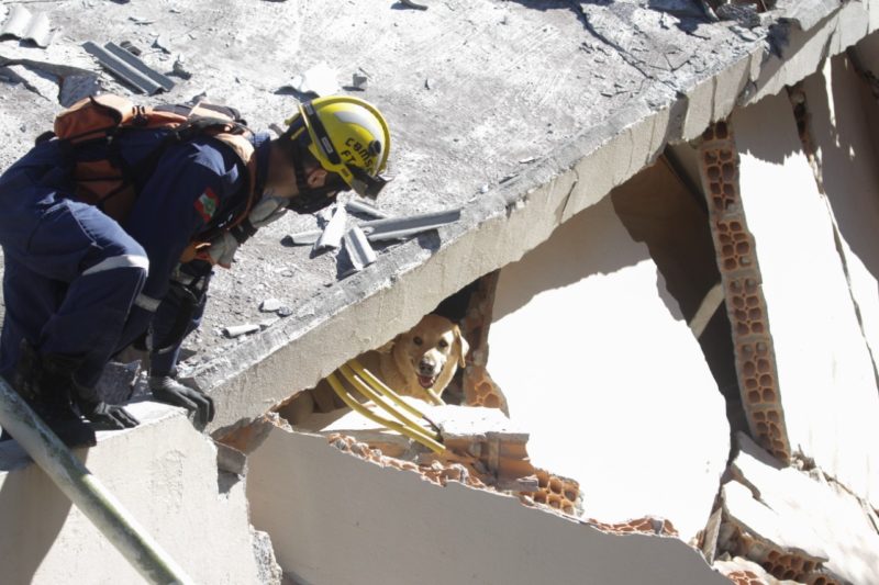 Bombeiros buscam por v&iacute;tima nos escombros – Foto: Leo Munhoz/ND