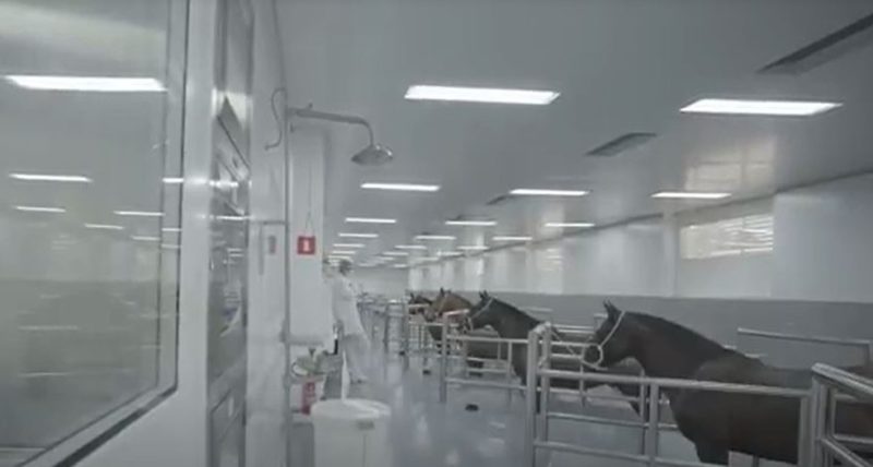 Soro anti-Covid est&aacute; em desenvolvimento pelo Instituto Butantan, em S&acirc;o Paulo – Foto: Instituto Butantan/Divulga&ccedil;&atilde;o