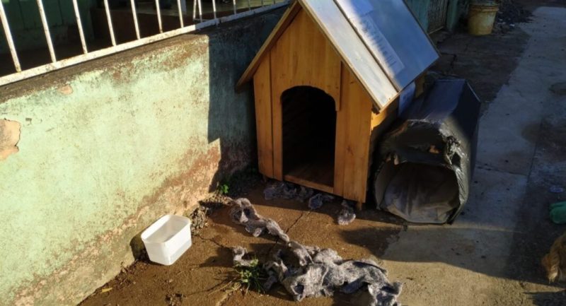 Crian&ccedil;a se escondeu na casinha ap&oacute;s sentir frio – Foto: Rodrigo Almeida/Sistema Pinga Fogo