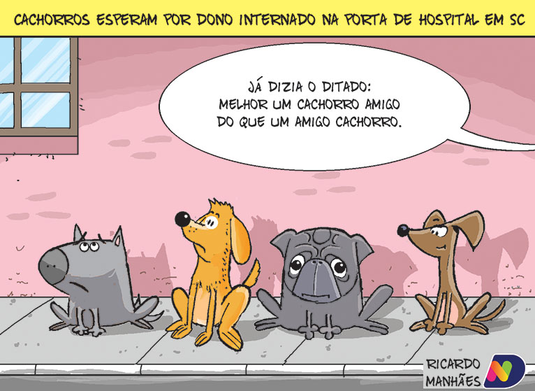 Confira a charge desta terça-feira (11)