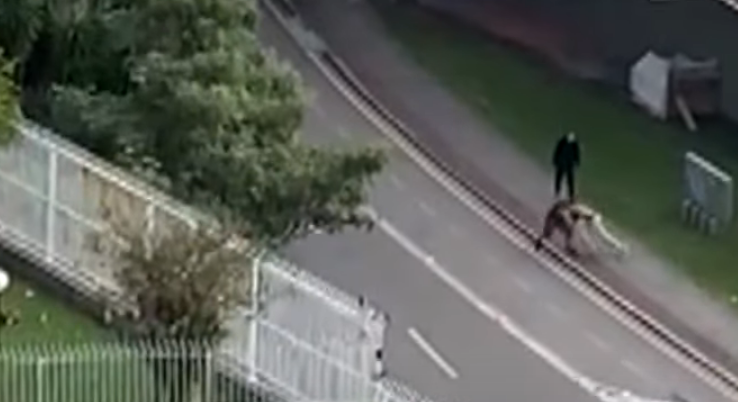 Ciclista foi esfaqueado durante tentativa de assalto na regi&atilde;o continental de Florian&oacute;polis no &uacute;ltimo domingo (9) – Foto: Reprodu&ccedil;&atilde;o/NDTV RecordTV