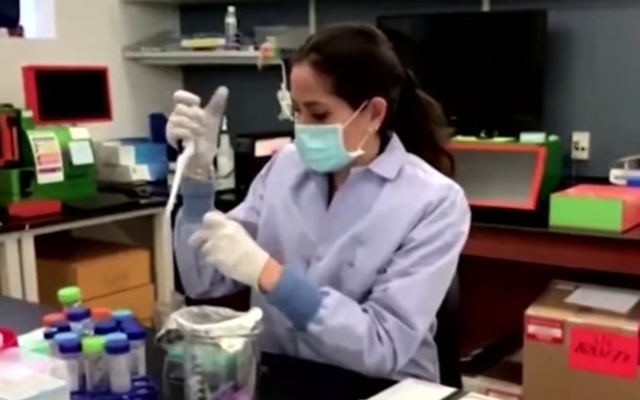 Cientista trabalha na identifica&ccedil;&atilde;o do v&iacute;rus H5N8 – Foto: Reprodu&ccedil;&atilde;o/Youtube