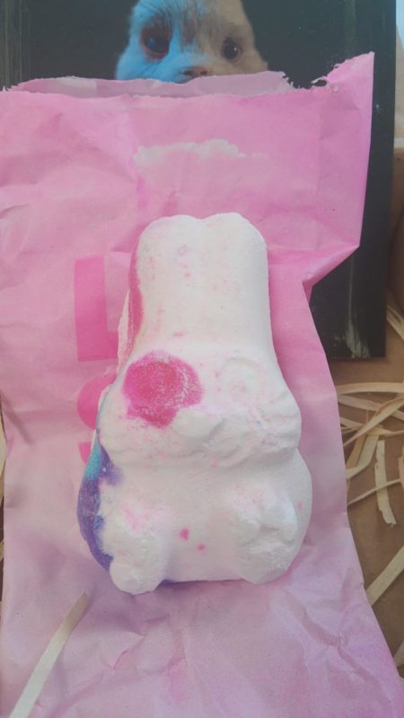 Coelhos feitos com um p&oacute; que se desmancha foram enviados a gabinetes no senado – Foto: Divulga&ccedil;&atilde;o