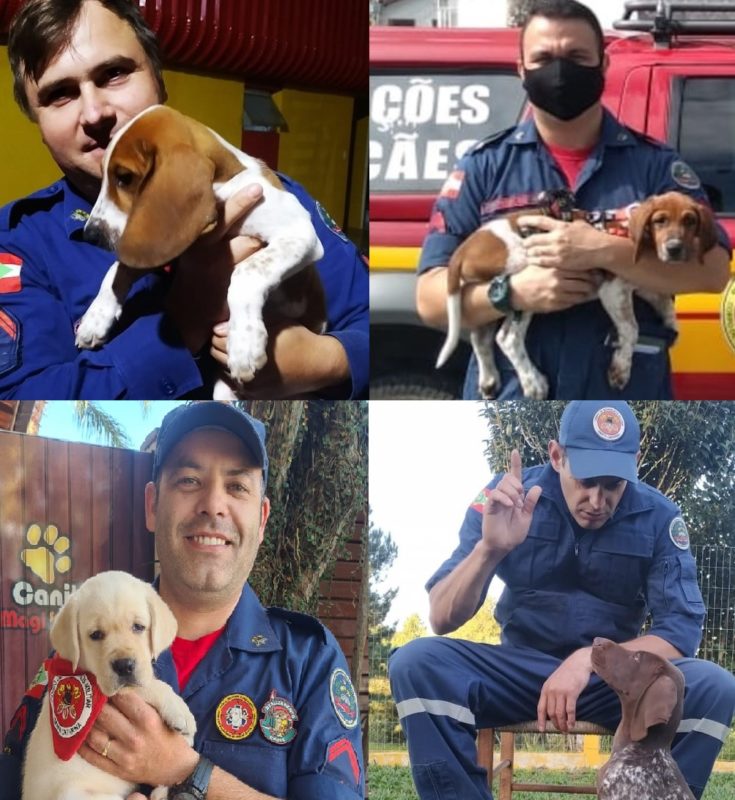bombeiros e seus cães em treinamento em SC