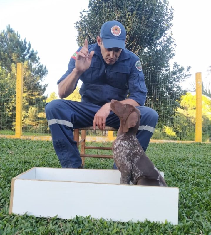 bombeiros e seus cães em treinamento em SC