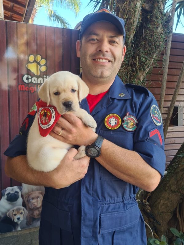bombeiros e seus cães em treinamento em SC