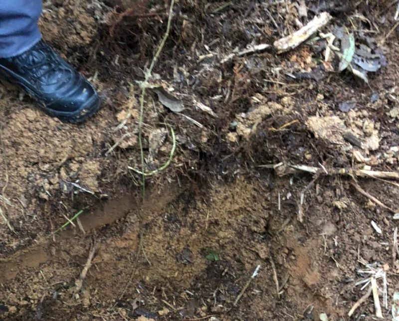 Corpo foi encontrado na manhã desta quinta-feira (27) no bairro Itinga – Foto: Divulgação