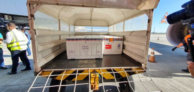 Vacinas desembarcaram em Florianópolis na manhã deste sábado (8). – Foto: DIVE-SC/Divulgação/ND
