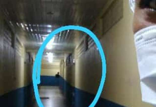 Sombra no fundo da imagem assustou a profissional – Foto: Reprodução