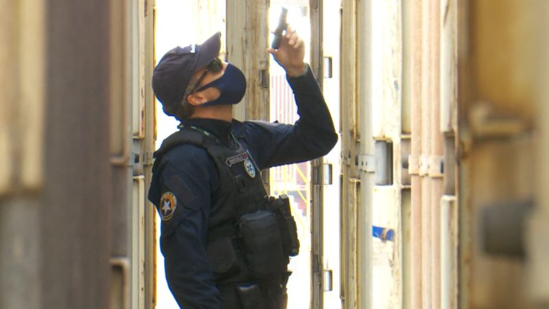 Apreensão de mercadorias aumentou 260% neste ano nos portos do Litoral Norte – Foto: Alfa Stofelli/NDTV