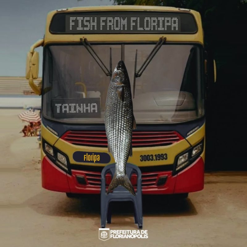 Prefeitura de Florianópolis faz meme com música de Anitta nas redes sociais – Foto: Redes Sociais/PMF/Reprodução/ND
