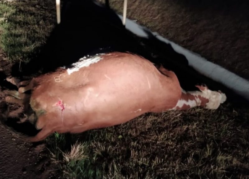 Acidente aconteceu por volta da 1 hora desta sexta-feira – Foto: Tua R&aacute;dio Cacique/ND