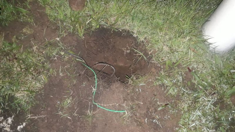 Um dos homens detidos é conhecido como Tatu