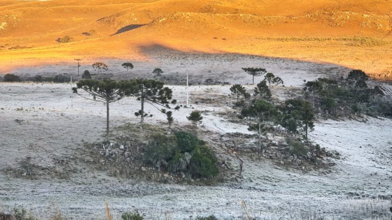 Temperaturas baixas tem sido frequentes ao amanhecer – Foto: Mycchel Legnaghi / São Joaquim Online