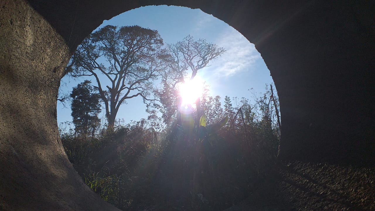 Linda paisagem marca a terça-feira (25) em Chapecó - Jair Correia/NDTV/Divulgação/ND