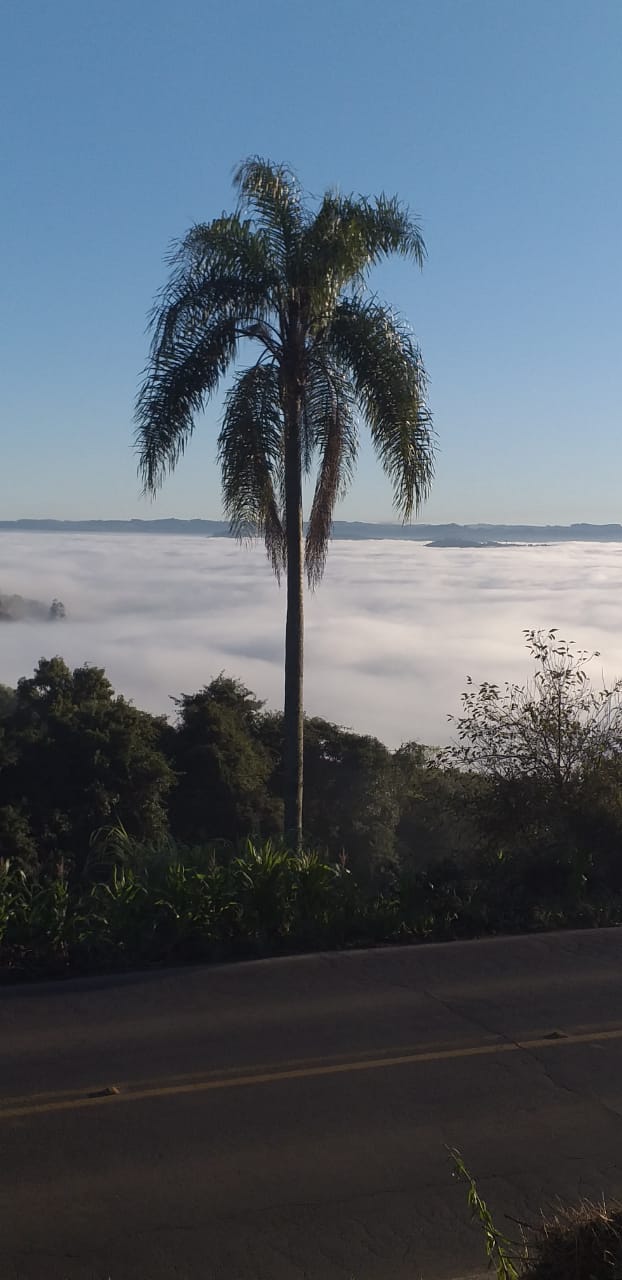 Nevoeiro ao amanhecer torna a paisagem mais bonita nesta manhã gelada no Oeste de SC - Jair Correia/NDTV/Divulgação/ND