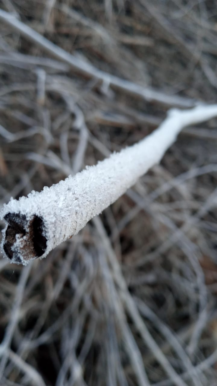 Fio intenso marca a semana devido a passagem de uma massa de ar seco e frio - Piter Scheuer/Divulgação/ND