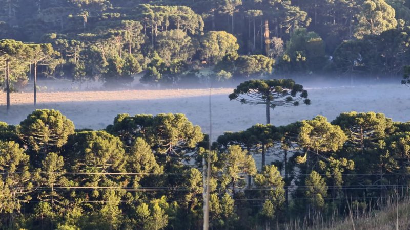 Amanhecer deste domingo (9) será de sol e geada em algumas regiões em Santa Catarina – Foto: Mycchel / Legnaghi São Joaquim Online