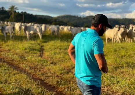 Sertanejo Gusttavo Lima mostra fazenda de gado em Goi&aacute;s – Foto: Reprodu&ccedil;&atilde;o redes sociais/ND