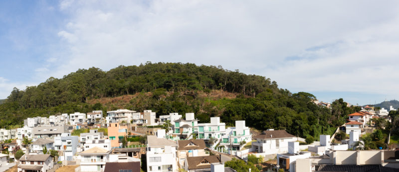[editDesmate de 4 'campos de futebol' de mata nativa em Florianópolis revolta moradores