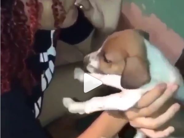 Influenciadora aparece em v&iacute;deo for&ccedil;ando filhote a inalar maconha – Foto: Reprodu&ccedil;&atilde;o/ND