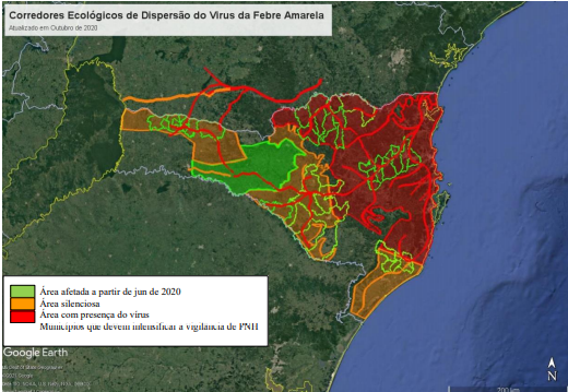 Febre Amarela em Santa Catarina – Foto: Dive/Reprodu&ccedil;&atilde;o