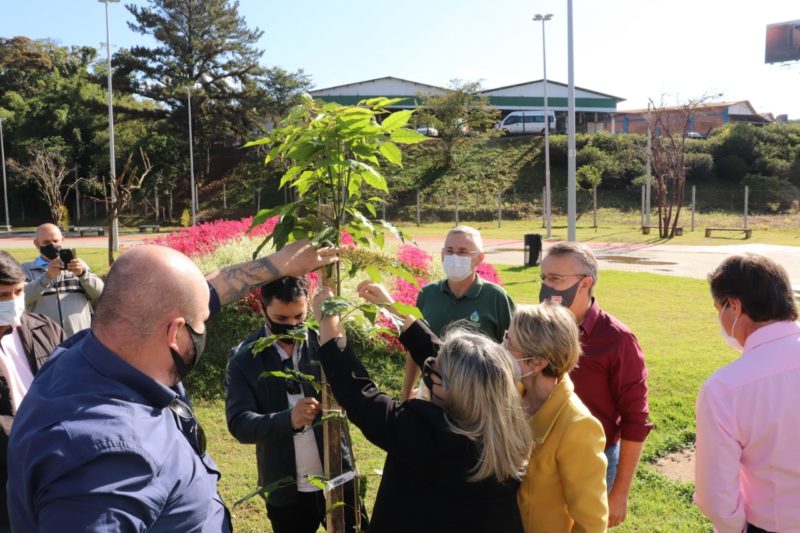 Plantio foi feito na manh&atilde; desta quinta-feira (13) no Parque das Itoupavas – Foto: Marcelo Martins/PMB/ND