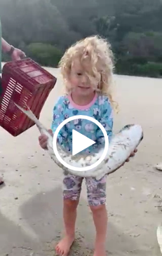Menina encanta com vida na natureza, em Naufragados, Florian&oacute;polis – Foto: Arquivo pessoal/ND