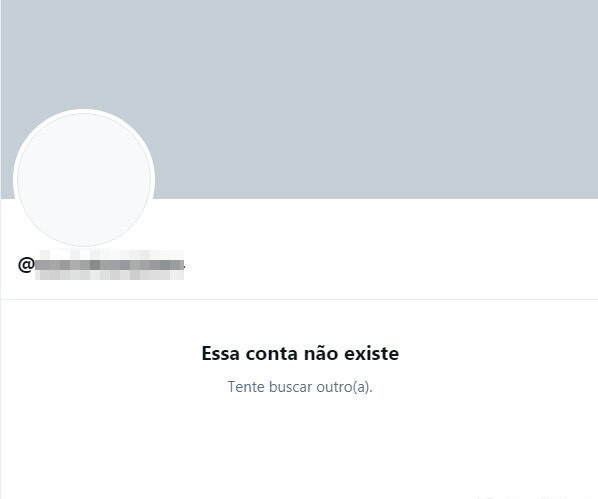Perfil foi excluído das redes sociais – Foto: Reprodução/Twitter