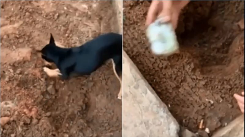 Entre os mandados expedidos, 7 s&atilde;o de pris&atilde;o preventiva e 21 de busca e apreens&atilde;o. – Foto: Reprodu&ccedil;&atilde;o/ND