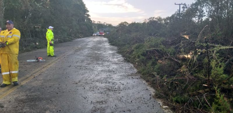 Trecho de aproximadamente 100 metros ficou completamente obstru&iacute;do depois do temporal atingir a regi&atilde;o da Serra catarinense – Foto: Pol&iacute;cia Militar Rodovi&aacute;ria Estadual/Divulga&ccedil;&atilde;o ND