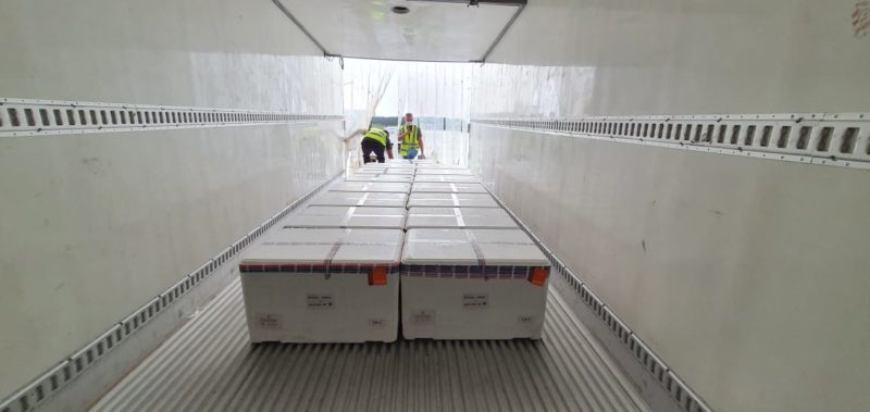 Santa Catarina irá receber mais 130.500 doses da vacina AstraZeneca – Foto: Divulgação/Dive