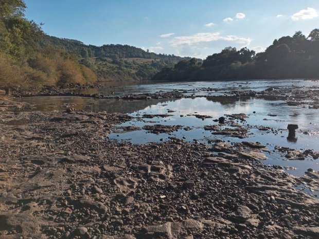 Rio Chapecó é um dos atingidos pela estiagem no Oeste de Santa Catarina – Foto: Comitê de Bacia Hidrográfica de Chapecó/Divulgação/ND