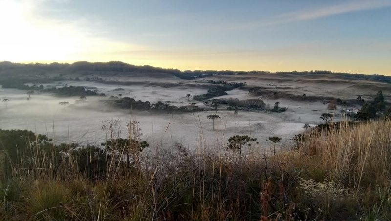 Previsão de geada e nevoeiro em SC – Foto: Wagner Urbano/ Reprodução/ND