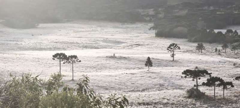 Geada em São Joaquim