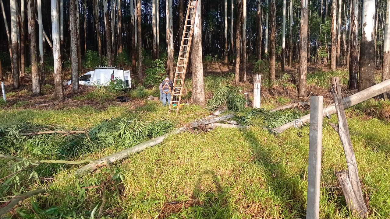 Equipe da Celesc foi chamada para fazer o conserto dos fios que foram arrancados com a queda de árvores - Samara Graciolli/Nova FM/Divulgação ND