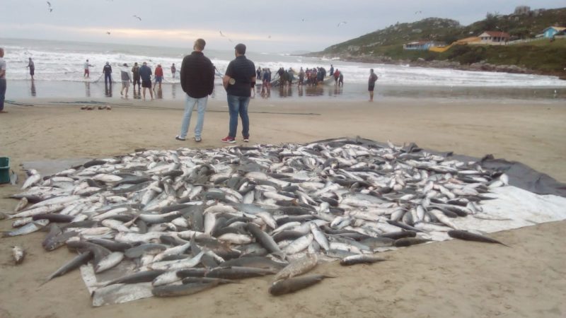 Pesca da tainha na manh&atilde; deste s&aacute;bado (22), em Imbituba – Foto: Reprodu&ccedil;&atilde;o/ND