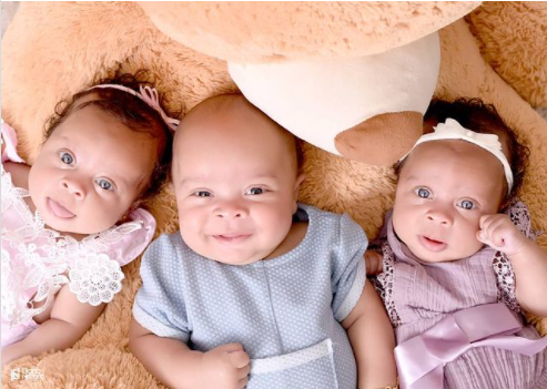 Trig&ecirc;meos ganharam ensaio fotogr&aacute;fico ao completar 3 meses de vida – Foto: Eliana Nazario