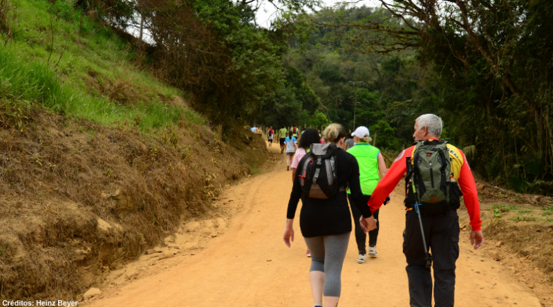 Trilha no Morro do Barão – Foto: Portal de turismo de Indaial/Heinz Beyer/ Divulgação/ ND