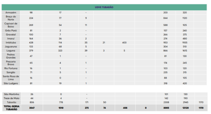 Tabela mostra a quantidade de doses que cada cidade ir&aacute; receber – Foto: Dive/Divulga&ccedil;&atilde;o