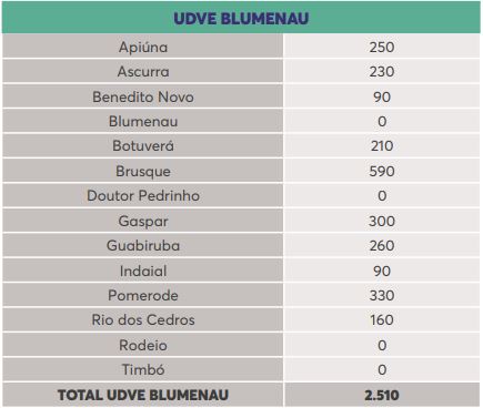 Lista de doses por município na região de Blumenau – Foto: Reprodução/Dive